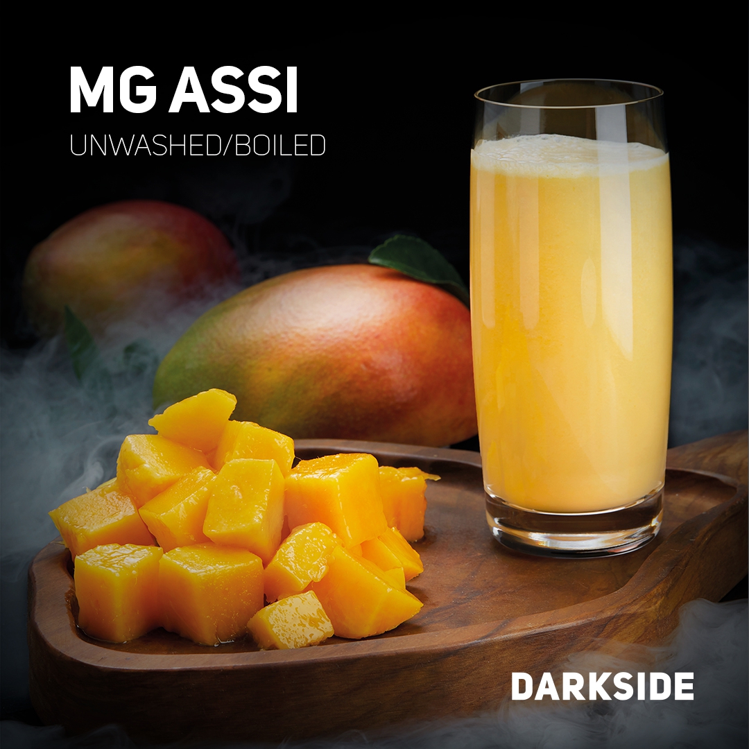 Darkside | MG Assi | Base | 25g