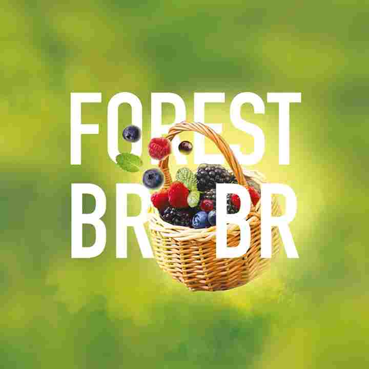MustH | Forest Brrs | 25g
