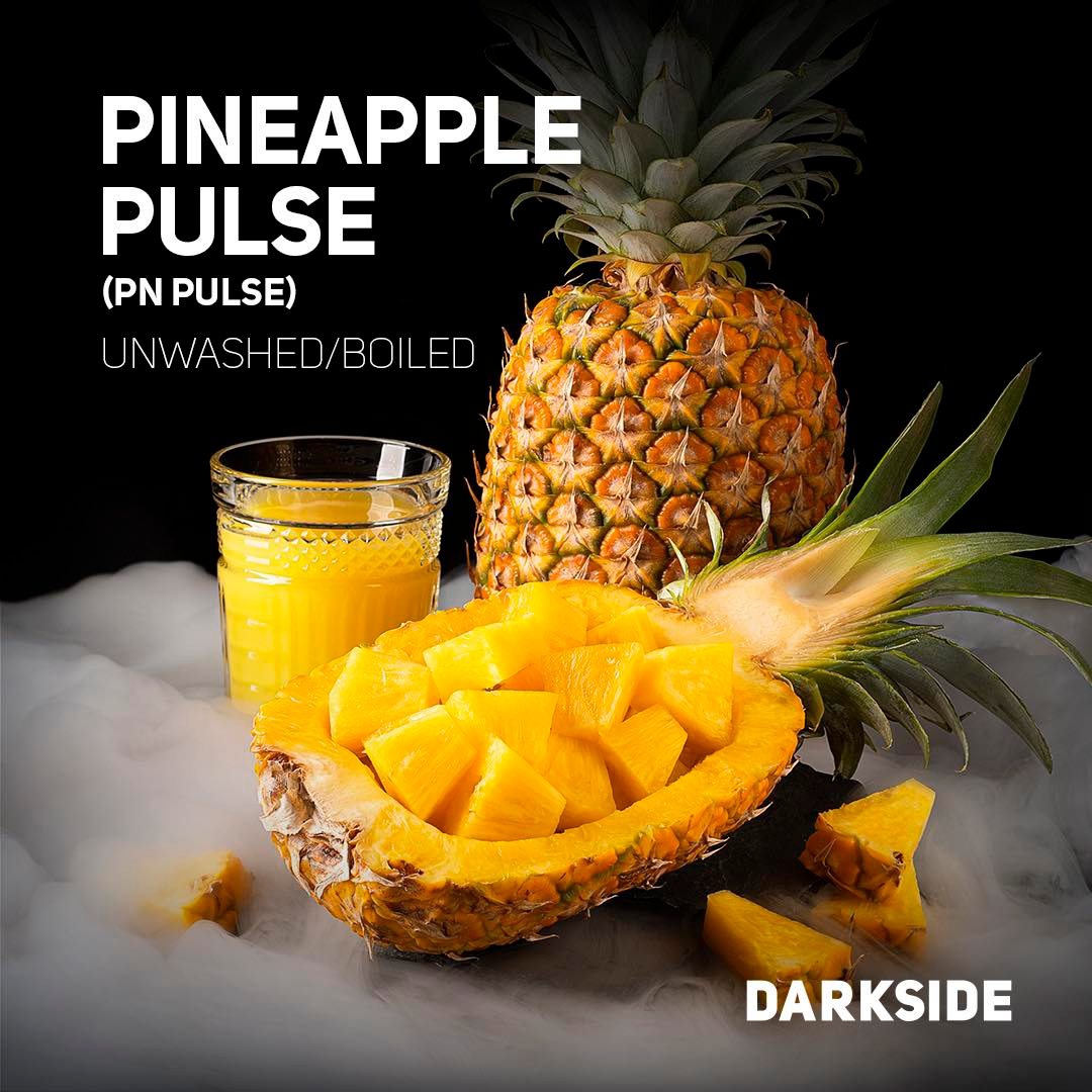 Darkside | PN Pulse | Base | 25g   