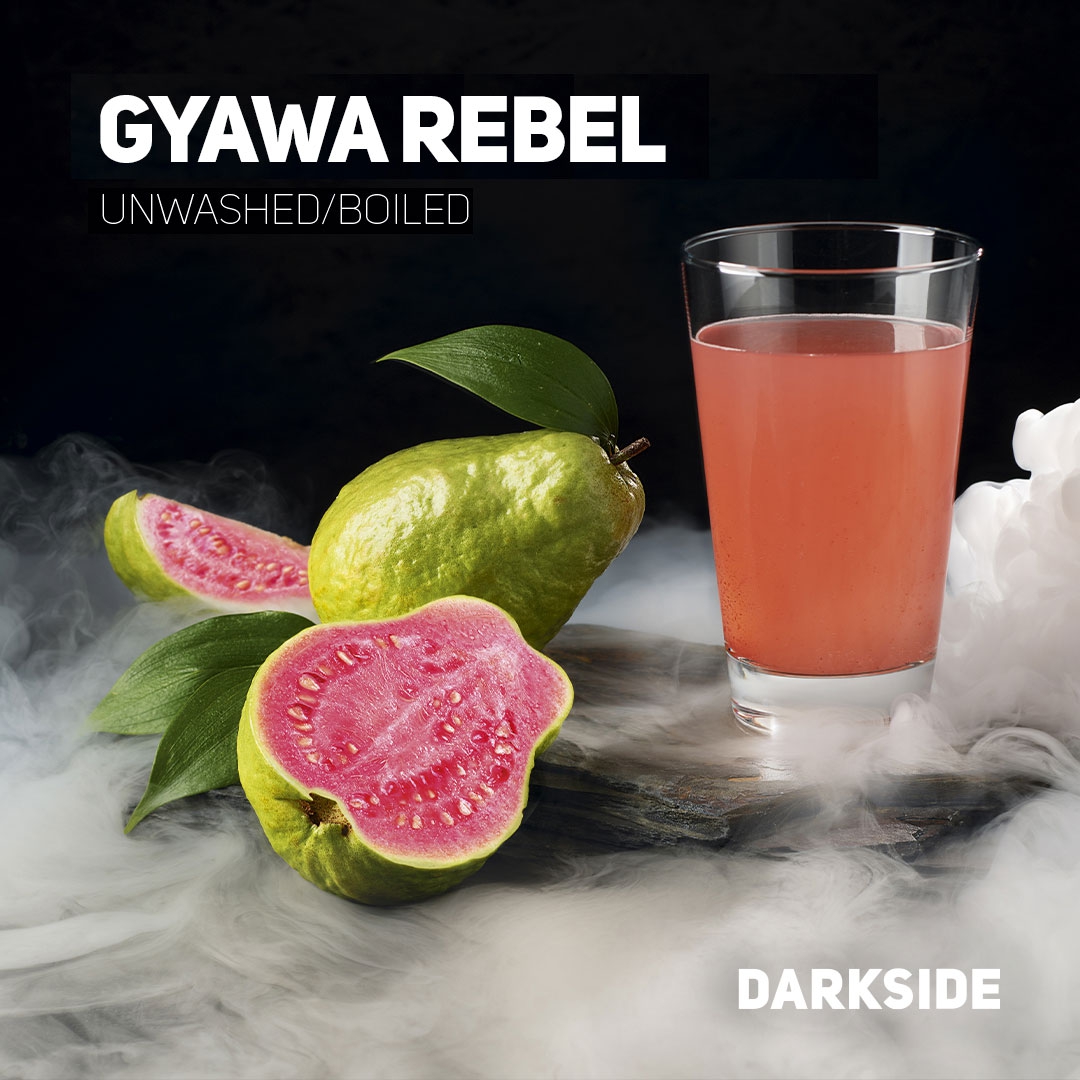 Darkside | Gyawa Rebel | Core | 25g 